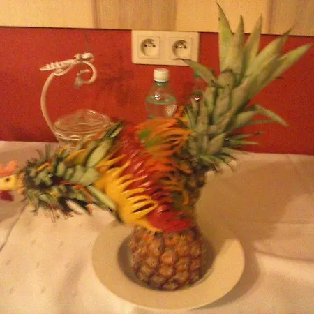 Guest house Kosciuszko Krynica Zdroj